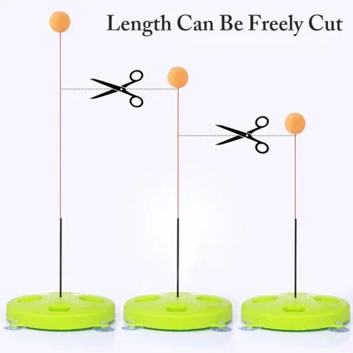 Tischtennistrainer – Bild 4