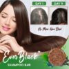 Ever Black Shampoo-Riegel